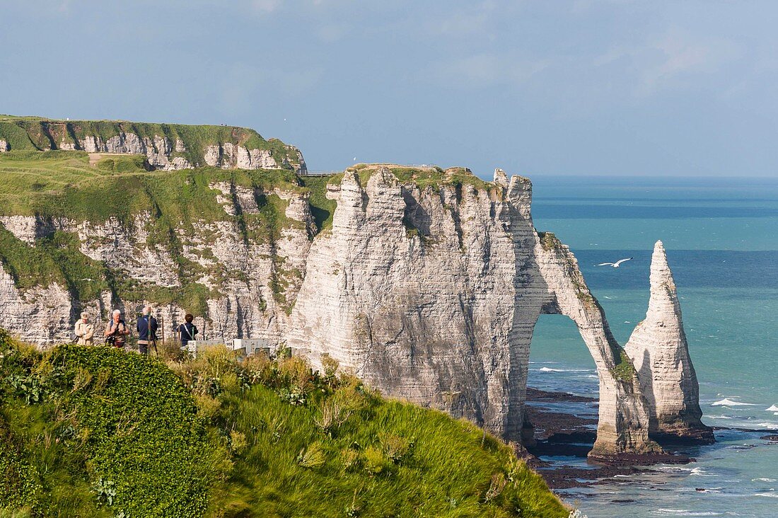 Felsen von Aval, Etretat, Alabasterküste, Pays de Caux, Seine-Maritime, Frankreich