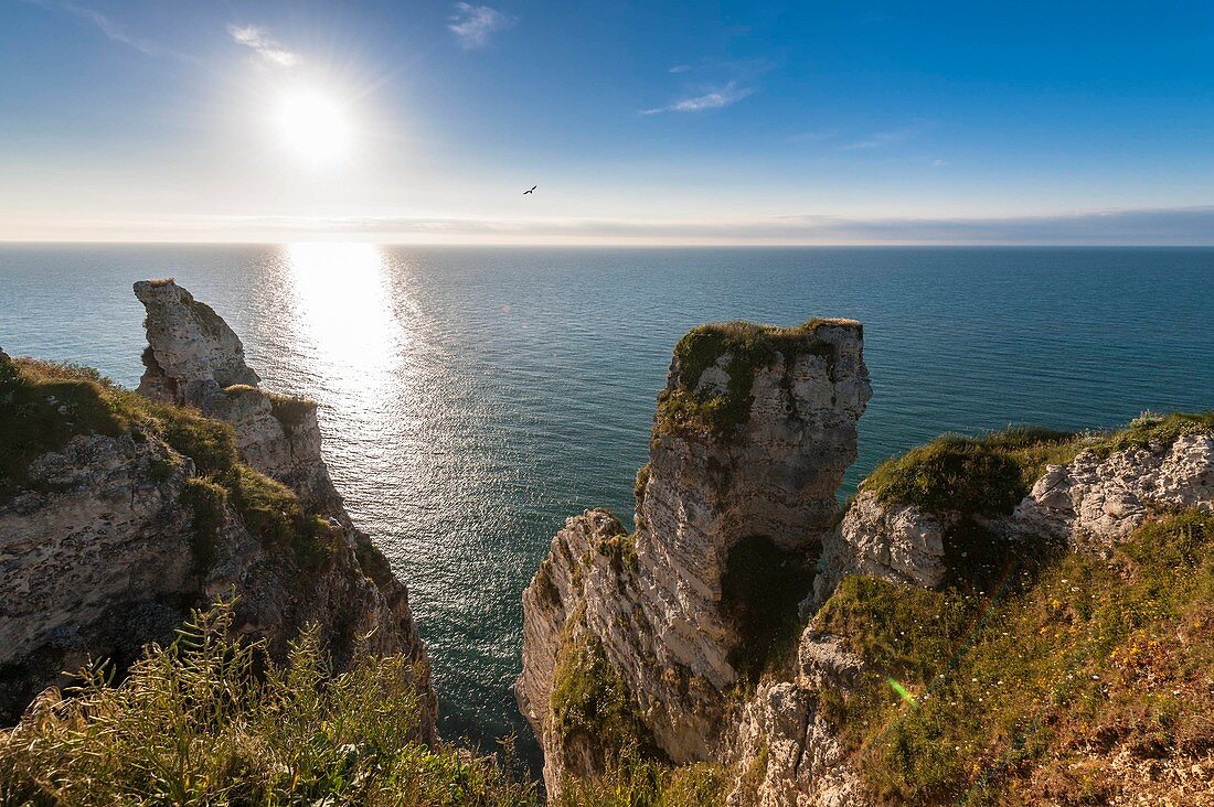 France, Seine Maritime, Pays de Caux, Alabaster Coast, Etretat, Aval cliff