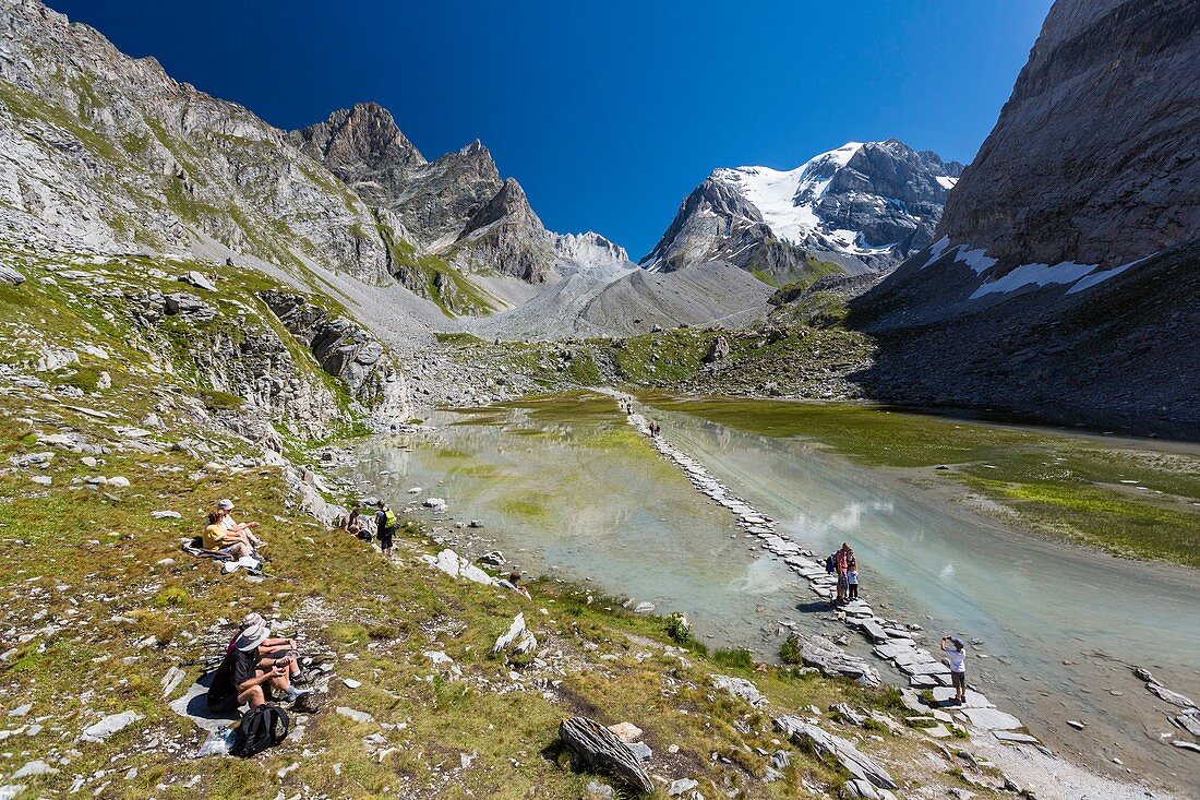 France, Savoie, Pralognan la Vanoise, Parc National de la Vanoise, GR55, path of the Col de la Vanoise, the Route du Sel et du Beaufort (Salt and Beaufort Road), hikers on the lake des Vaches with a view of the Grande Casse (3855m)