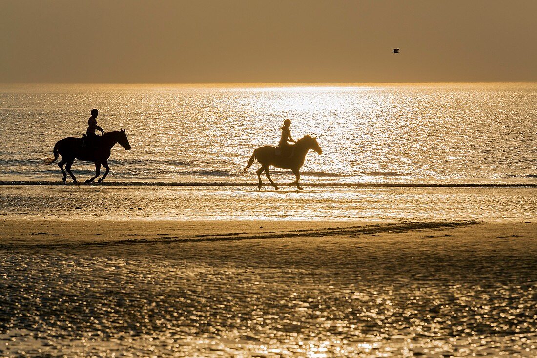 France, Calvados, Deauville, the beach, sunset, horseback riders