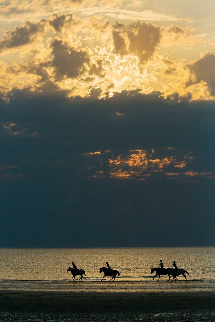 France, Calvados, Deauville, the beach, sunset, horseback riders