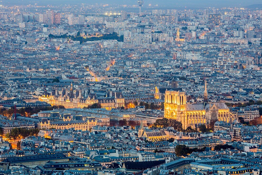 France, Paris, general view with Notre Dame cathedral