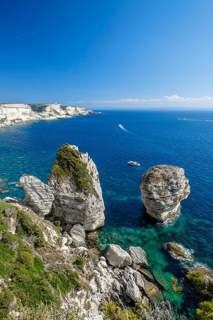 France, Corse-du-Sud, Bonifacio, Bonifacio Straits Nature Reserve, limestone cliffs and the Grain of sand