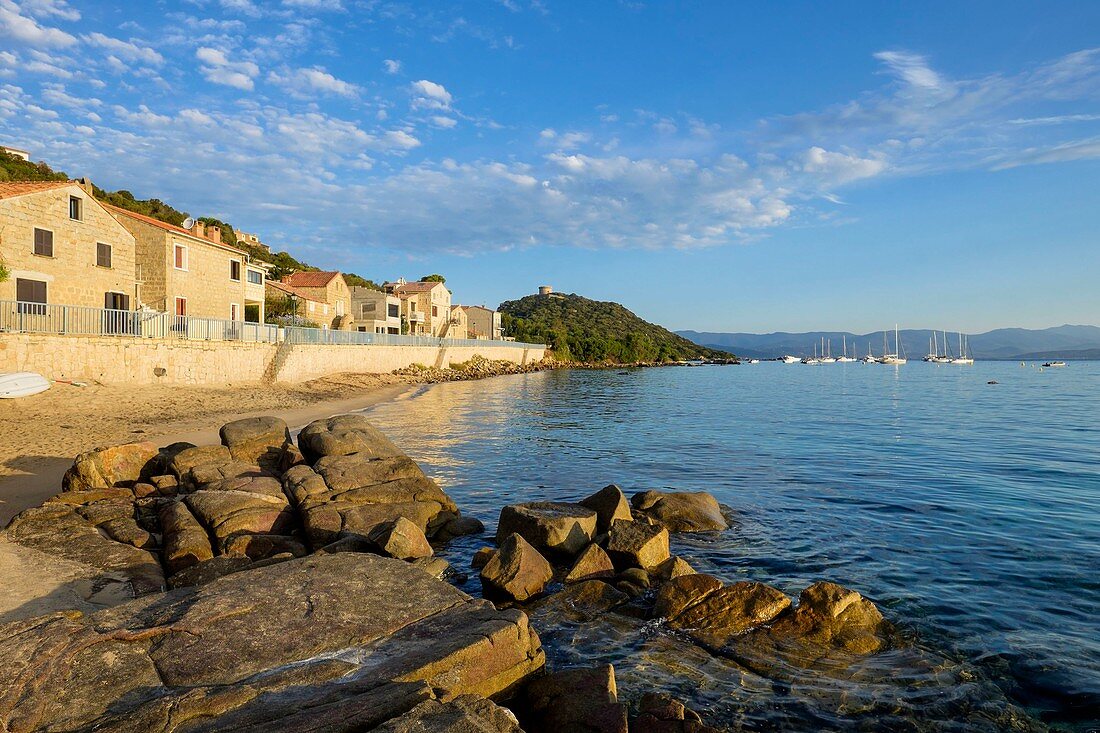 France, Corse-du-Sud, Belvedere-Campomoro, Campomoro genoese tower in the background