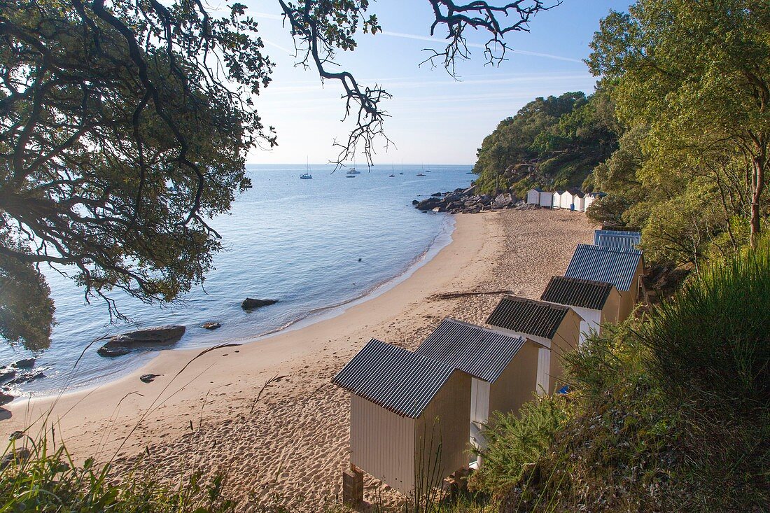 Frankreich, Vendee, Ile de Noirmoutier, Bois de la Chaise, Strand Anse Rouge und Strandhütten