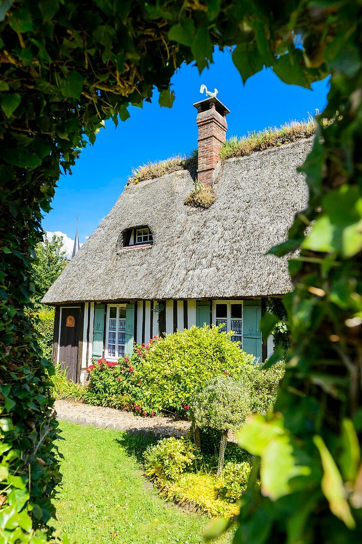 France, Eure, Marais Vernier region, Brotonne regional nature park, Vieux Port and its traditional houses on the banks of the Seine river