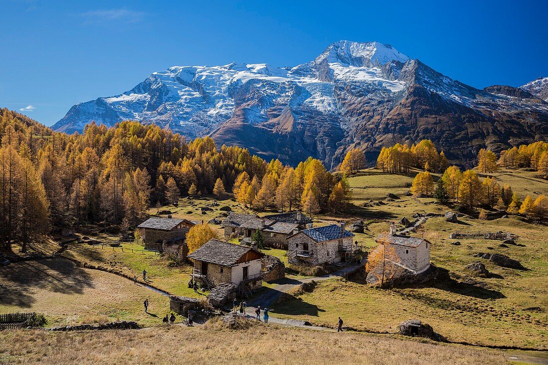 France, Savoie, Haute Tarentaise, Le Monal hamlet (1874m) dominated by the Mont Pourri (3779m) and North and South side of Gurraz Glacier, Savinaz and Martin Glaciers in the Parc National de la Vanoise