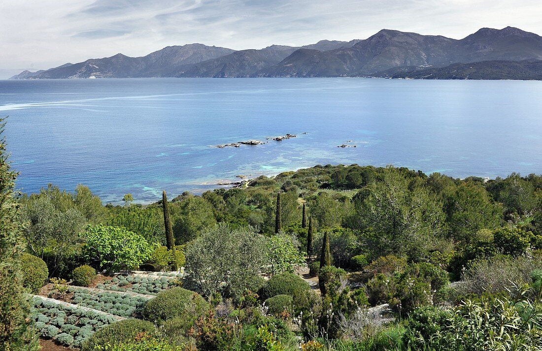 France haute corse near saint florent feature home view architect jean michel wilmotte