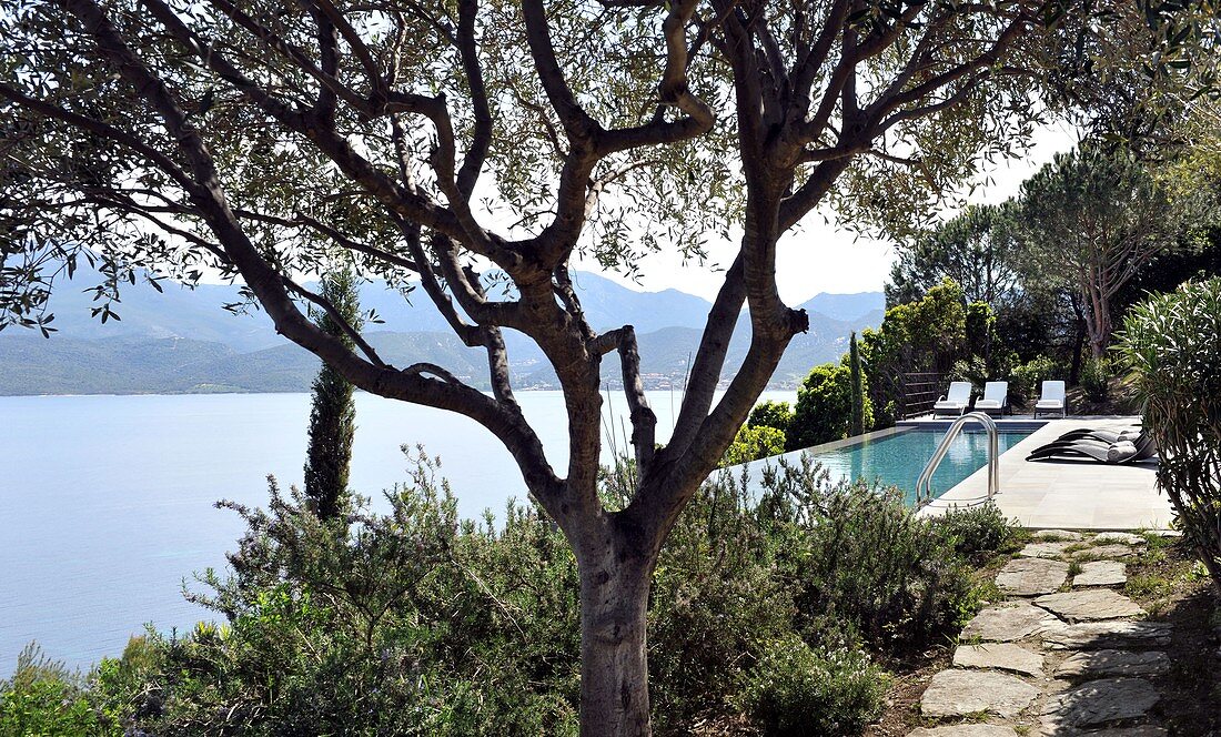 Frankreich, Haute-Corse, bei Saint Florent, Reportage: 'Haus mit Aussicht' (Architekt: Jean-Michel Wilmotte)