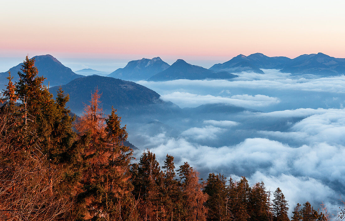 Bayerische Voralpen ragen im Morgenrot aus dem Wolkenmeer, Kufstein, Tirol, Österreich