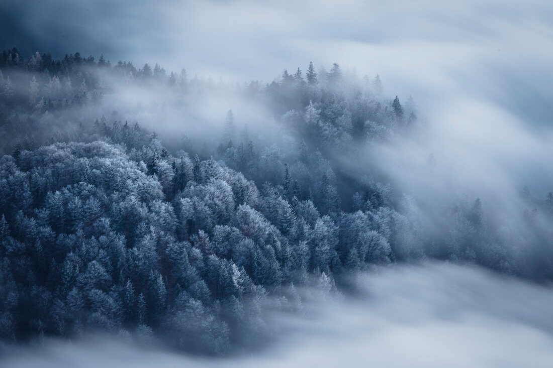 Leicht verschneite Bäume zwischen umherziehenden Wolken, Inntal, Tirol, Österreich