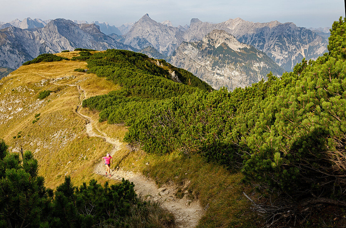 Trailrunner läuft in grandiosem Karwendel-Panorama zum Gipfel des Bärenkopf, Achensee, Tirol, Österreich