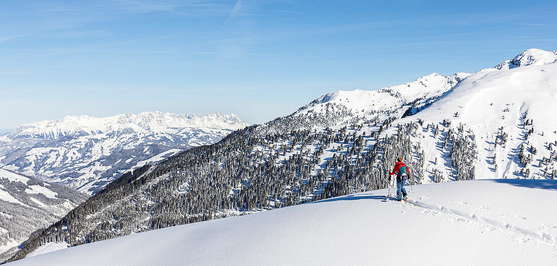 Skitourengeherin zieht bei bestem Wetter ihre Spur in die unverspurte Winterlandschaft, Kitzbüheler Alpen, Tirol, Österreich