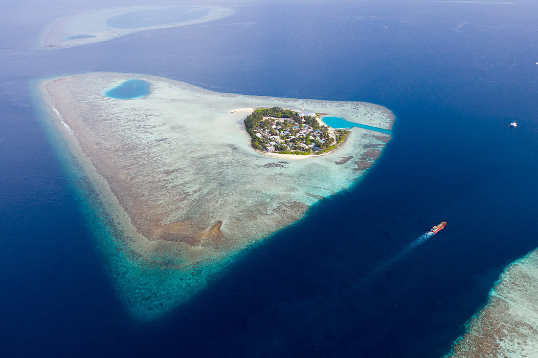 Tauchplatz Rakheedhoo Kanal, Felidhu Atoll, Indischer Ozean, Malediven