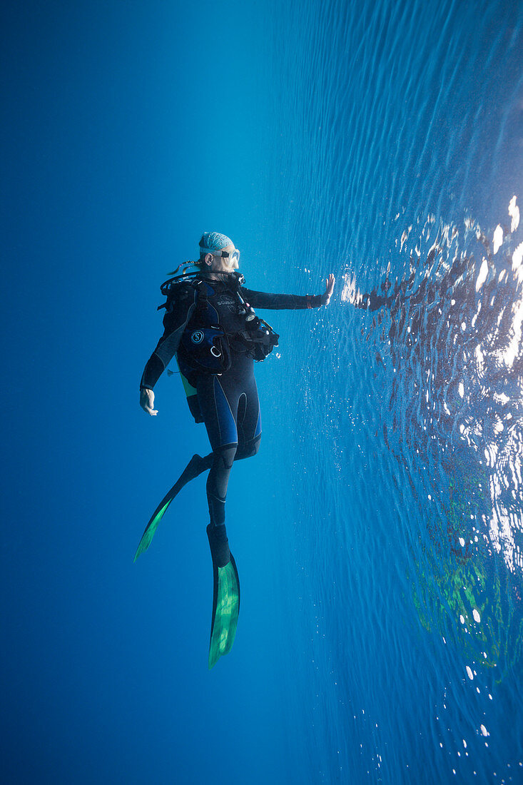 Divers on the water surface, South Male Atoll, Indian Ocean, Maldives