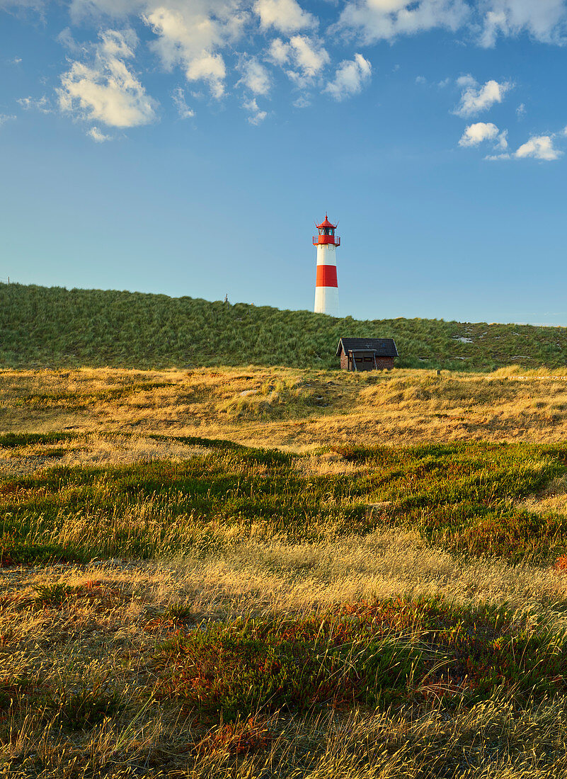 List-Ost lighthouse, Ellenbogen, Sylt, Schleswig-Holstein, Germany