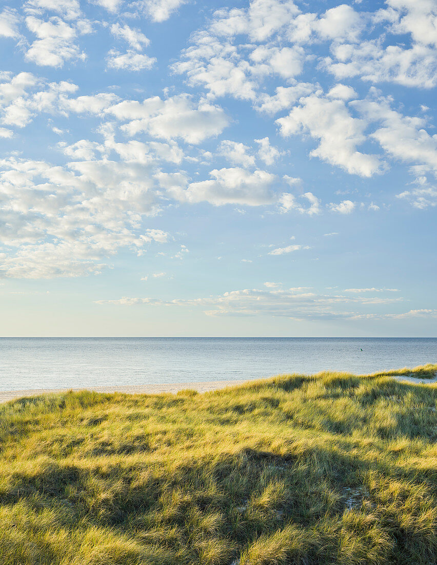 Dünenlandschaft am Ellenbogen, List, Sylt, Schleswig-Holstein, Deutschland