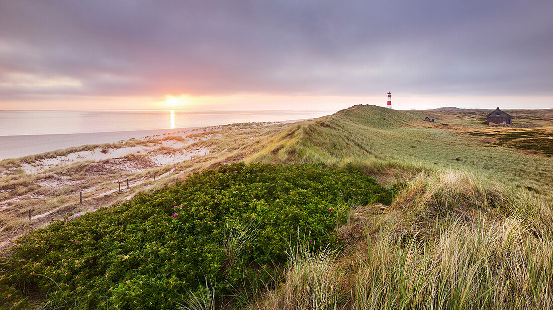 Leuchtturm List-Ost, Ellenbogen, Sylt, Schleswig-Holstein, Deutschland