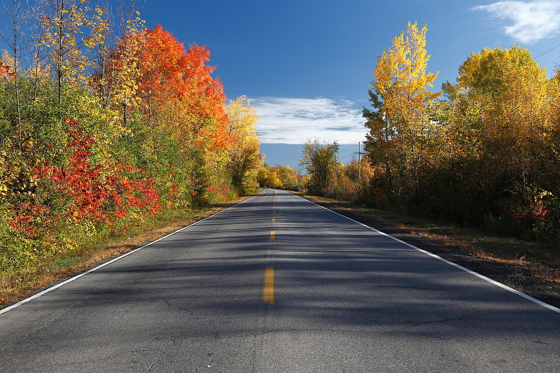 Country road in autumn