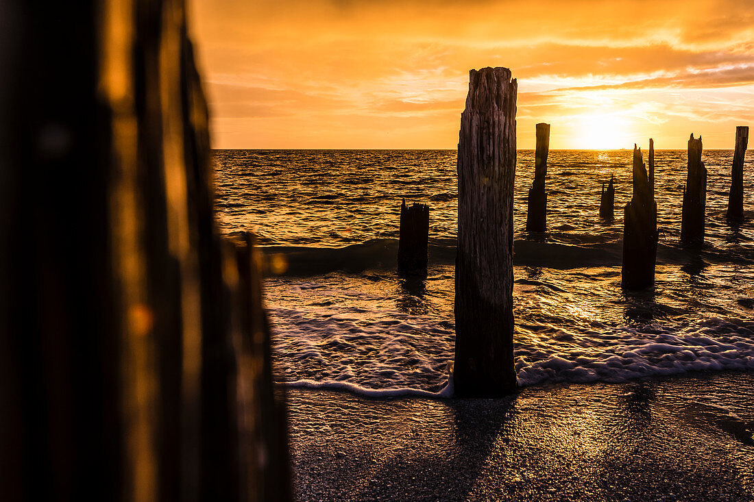 Silhouette of weathered wooden piles on the beach from the Gulf of Mexico at sunset, Fort Myers Beach, Florida, USA