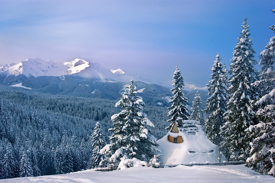 Eingeschneites Holzhäuschen in der Tatra, Gebirgskette zwischen Polen und der Slowakei