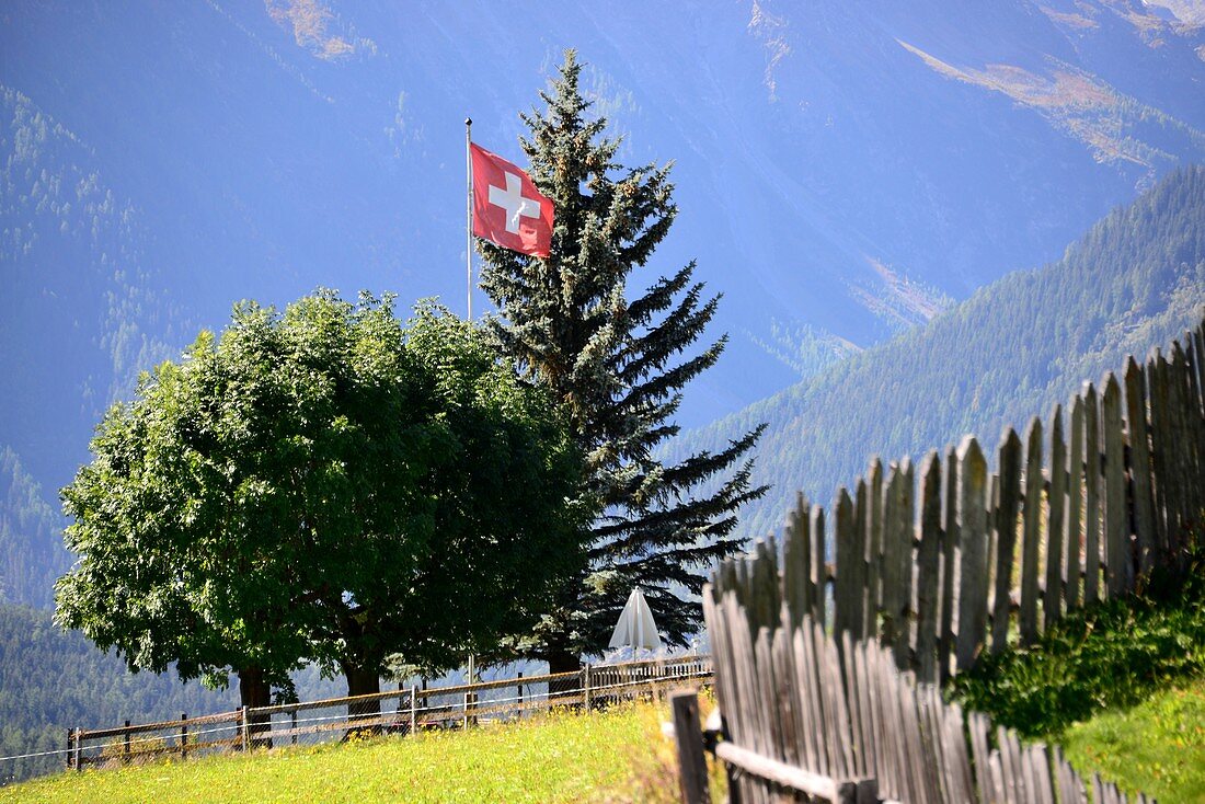 Schweizer Flagge auf Feld im Bergdorf Guarda, Unterengadin, Graubünden, Schweiz