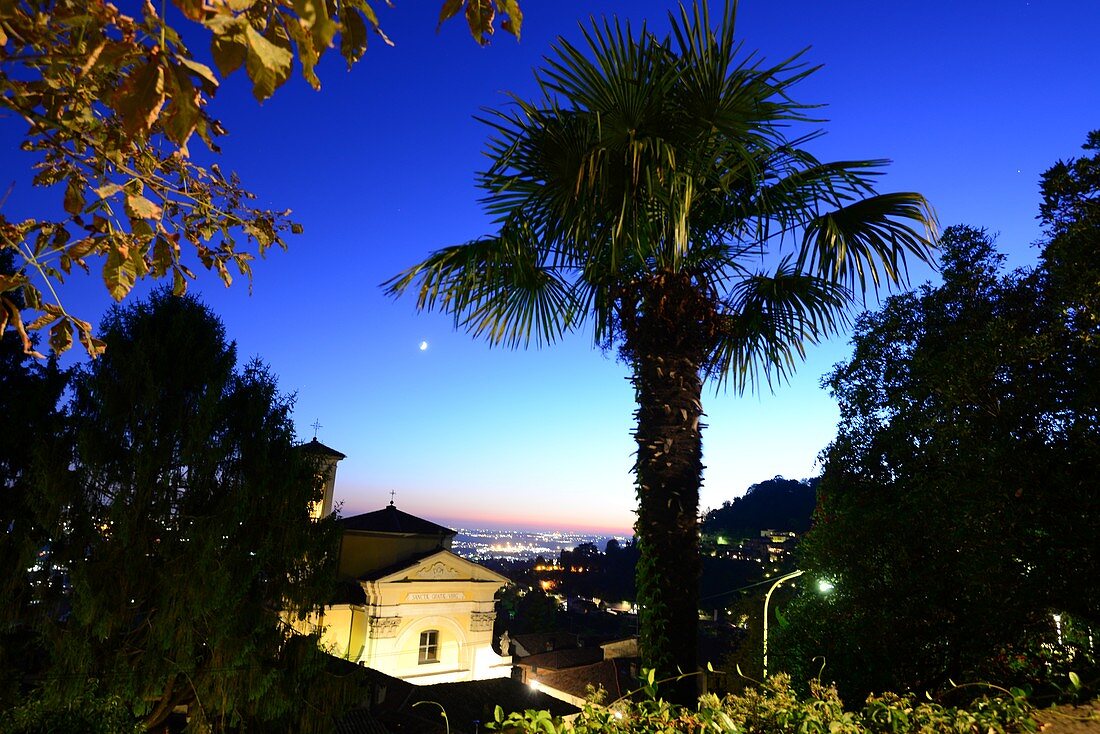 Abends in San Vigilio mit Palme über der Oberstadt, Bergamo, Lombardei, Italien