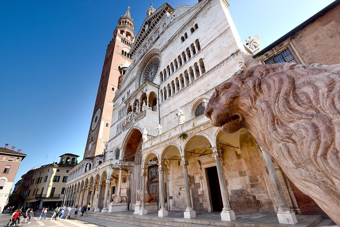 Piazza del Comune mit Duomo und Steinlöwen, Cremona, Lombardei, Italien