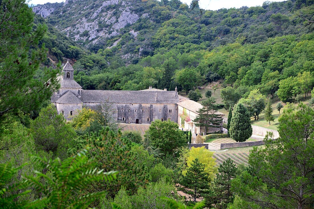 Blick auf Kloster Senanque bei Gordes im Lubéron, Provence, Frankreich