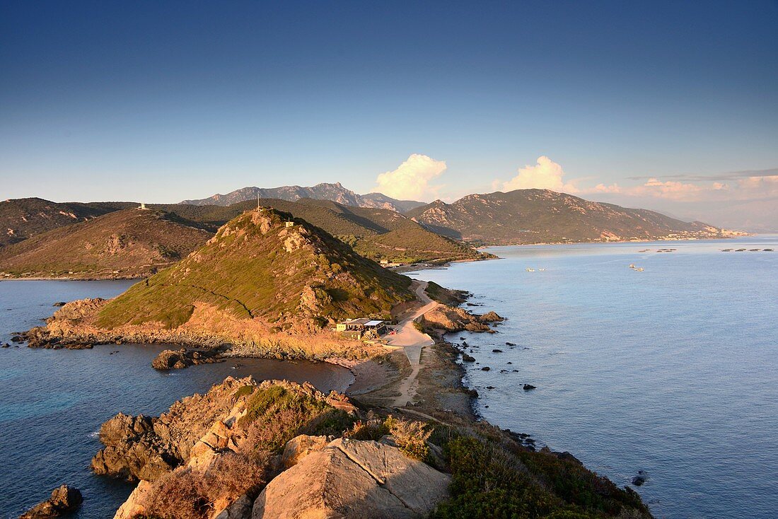 Coast in the evening light west of Ajaccio at Pointe Parata, western Corsica, France