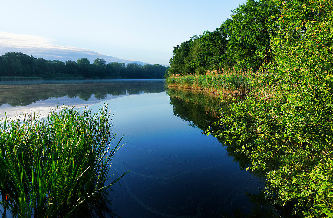 Falkenhagener See in Falkensee, Land Brandenburg, Deutschland