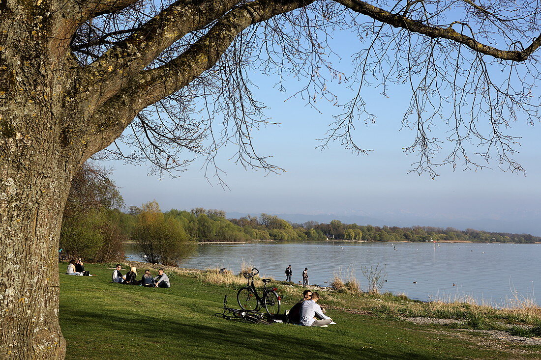 Liegewiese in Friedrichshafen, Bodensee, Baden-Württemberg, Deutschland