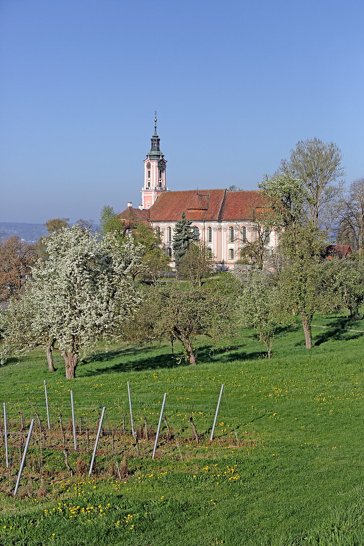 Cistercian priory at Birnau Monastery, Uhldingen, Baden-Württemberg, Germany