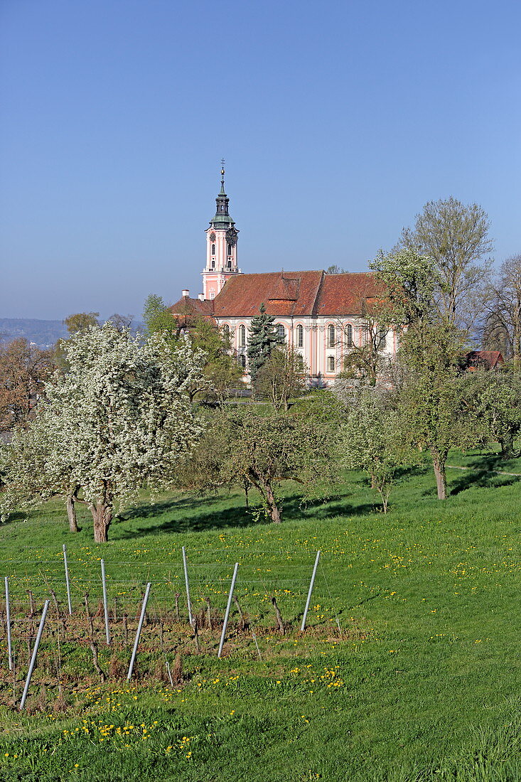 Zisterzienser Priorat Kloster Birnau, Uhldingen, Baden-Württemberg, Deutschland