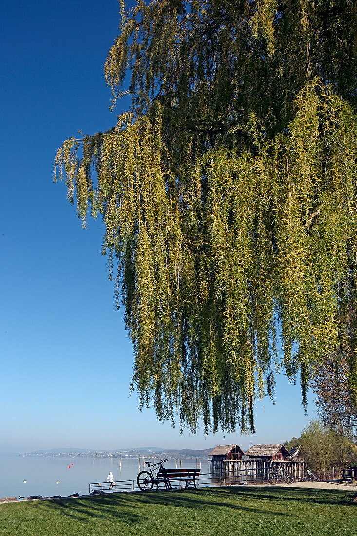 Pile dwellings, Unteruhldingen, Lake Constance, Baden-Württemberg, Germany