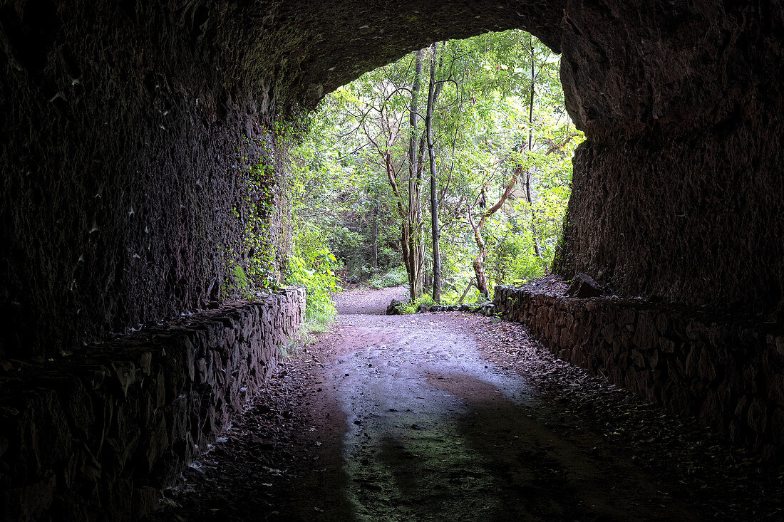 View from the tunnel on a hiking trail in the laurel forest of Los Tilos, UNESCO biosphere reserve, La Palma, Canary Islands, Spain, Europe