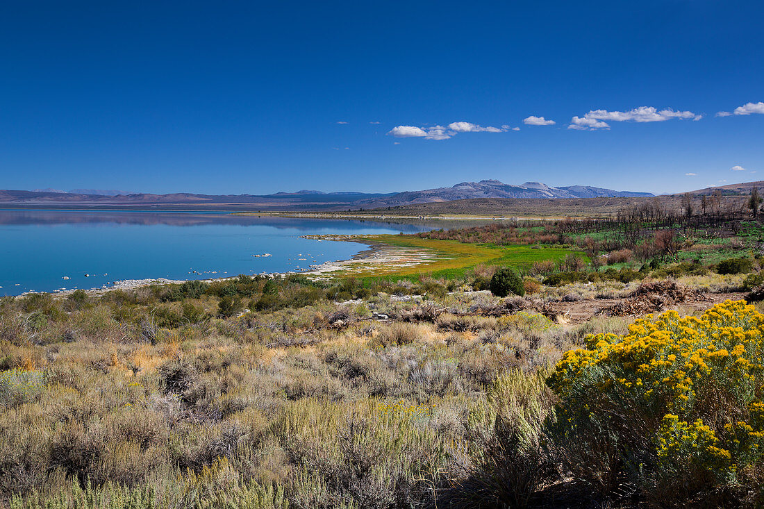 Ostufer des Mono Lake im Sommer, Kalifornien, USA\n