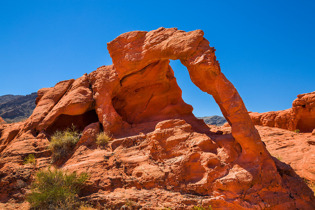 Rock formation in the shape of an elephant in the Valley of Fire, USA