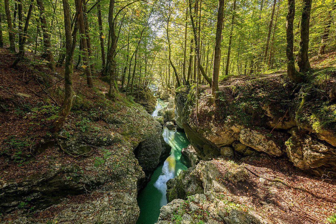 Mostrica Gorge at Stara Fucina, Triglav National Park, Slovenia