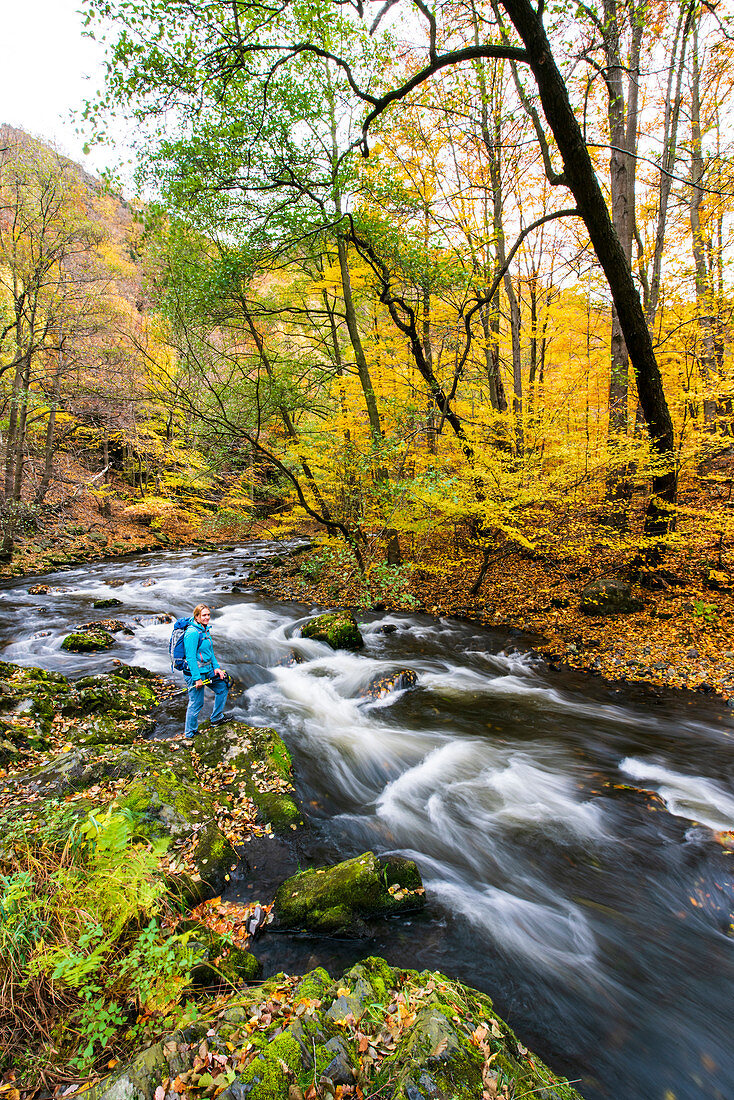 Indian Summer in the Bodeschlucht near Thale in the Harz Mountains