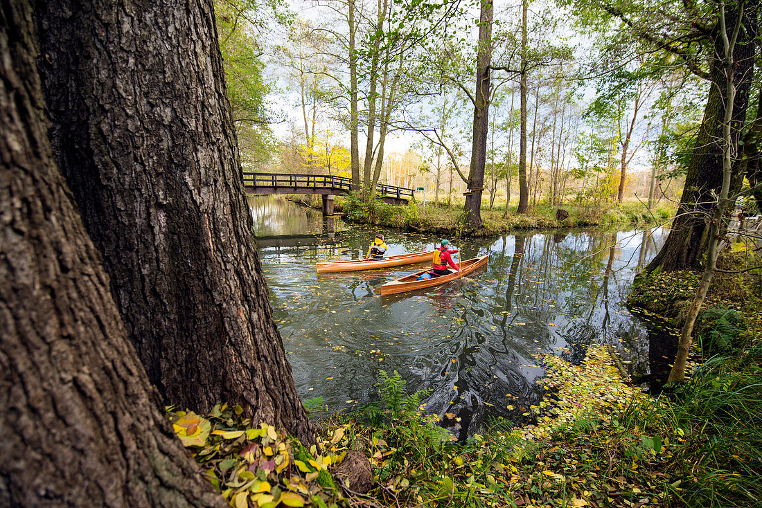 Autumn canoe tour in Spreewald, Germany