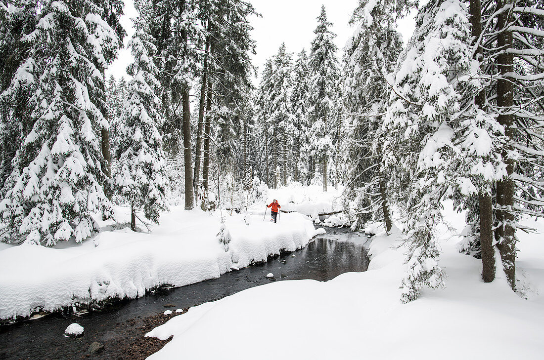 Schneeschuhwanderung im Oberharz, Deutschland