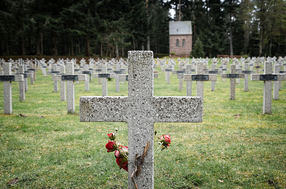 Rote Rosen an einem Grabstein auf dem Soldaten Friedhof am Wettstein, Orbey, Elsass, Frankreich, Europa