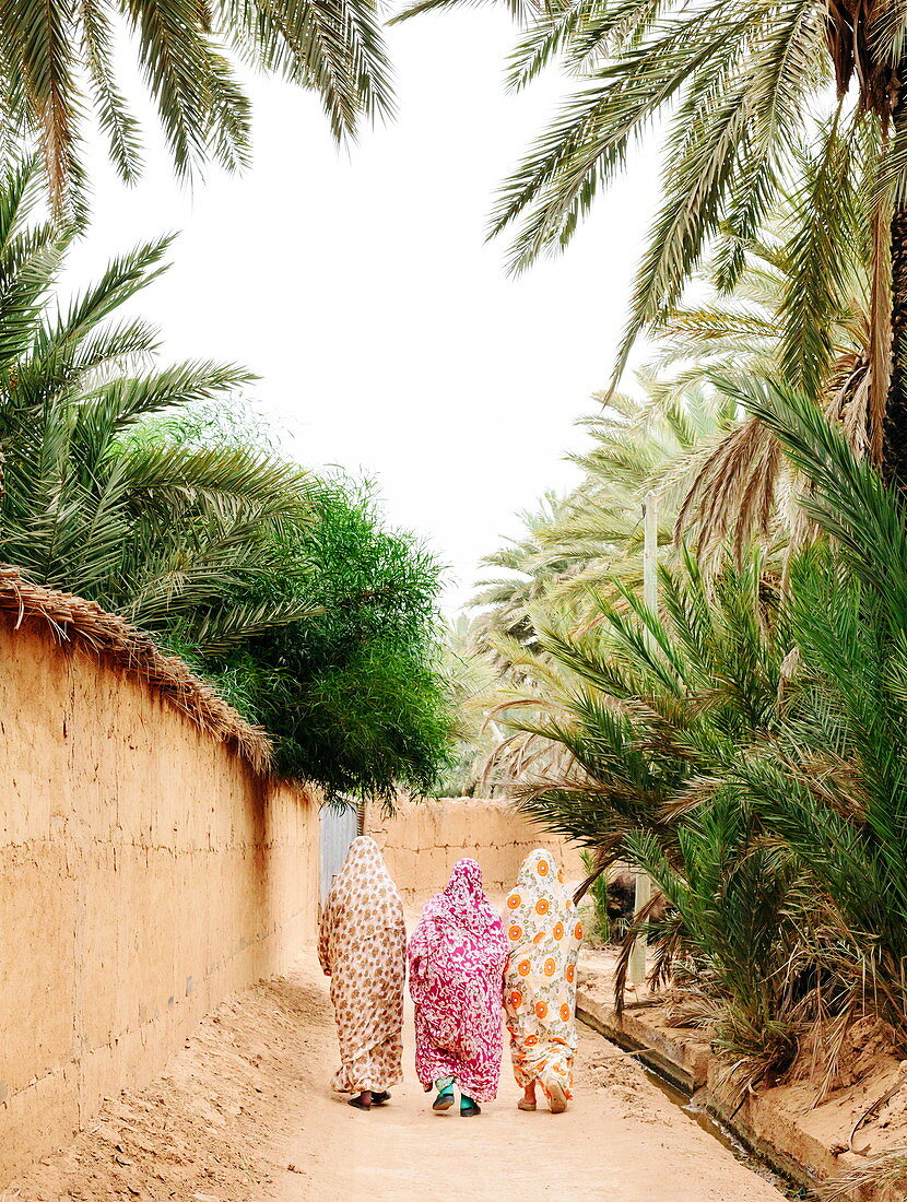 Einheimische Frauen in der Oase Tighmert, Marokko