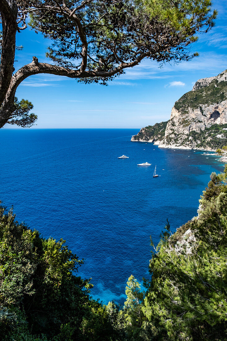 Blick auf die Bucht von Marina Piccola, Insel Capri, Golf von Neapel, Italien