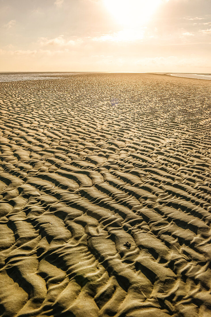 Meeresboden während der Ebbe im Wattenmeer zwischen Juist und Borkum. Deutschland, Nordsee, Ostfriesland