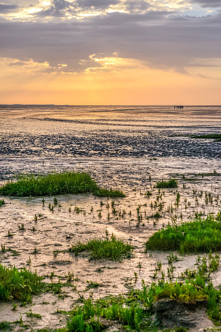 Menschengruppe wandert über das offene Meer bei Ebbe. Wattenmeer, Ostfriesland, Nordsee, Europa. Insel Juist