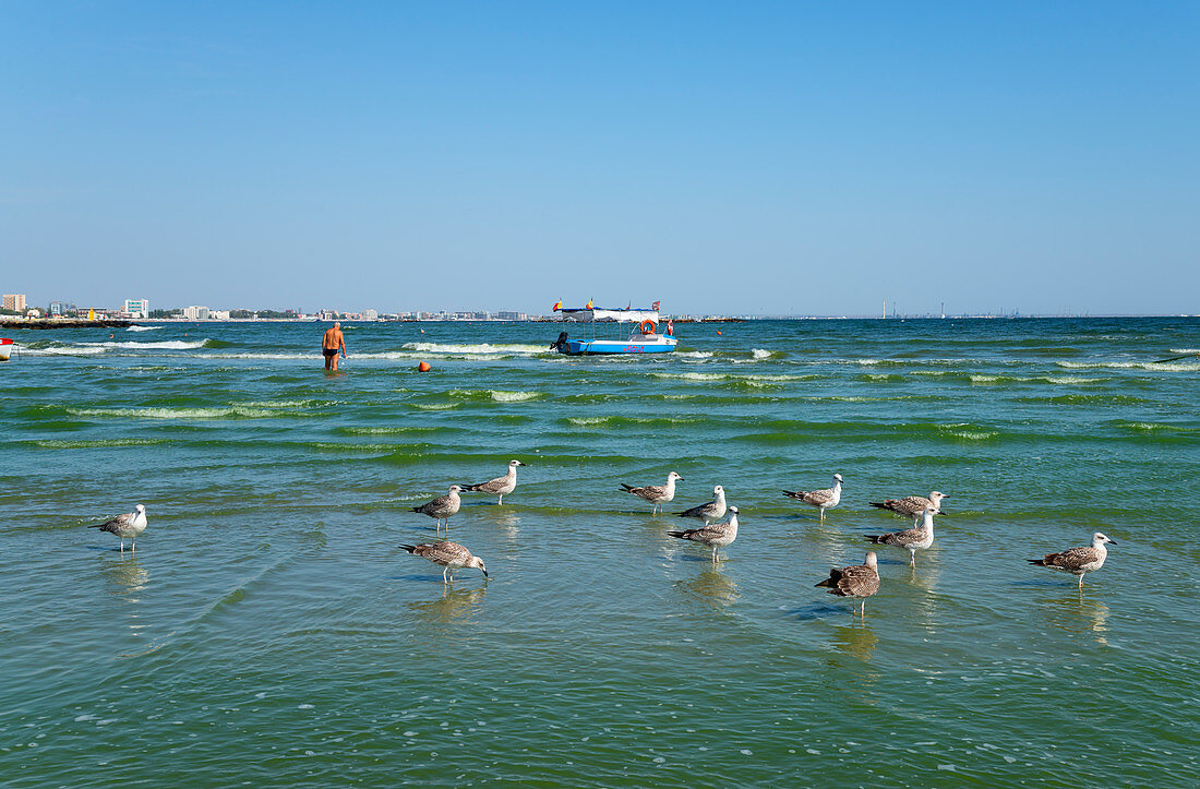 Mamaia Beach, Constanta, Dobruja, Black Sea Coast, Romania