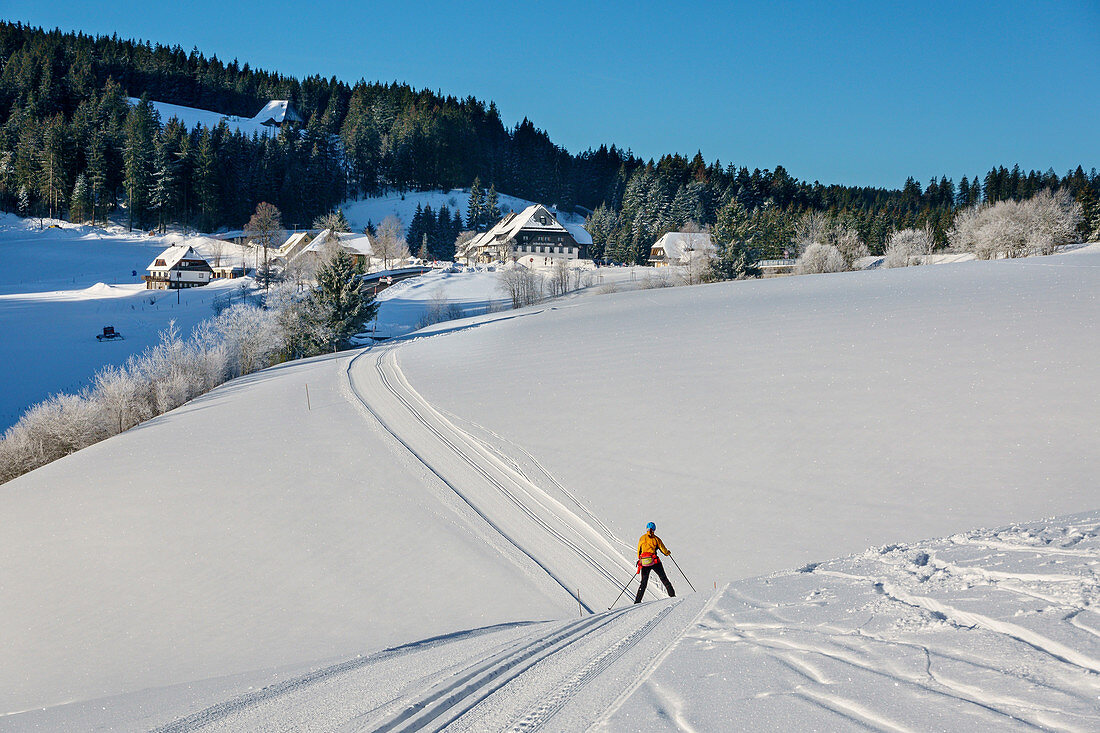 Frau beim Langlaufen fährt über Kuppe ab, Skifernwanderweg Schonach-Belchen, Schwarzwald, Baden-Württemberg, Deutschland