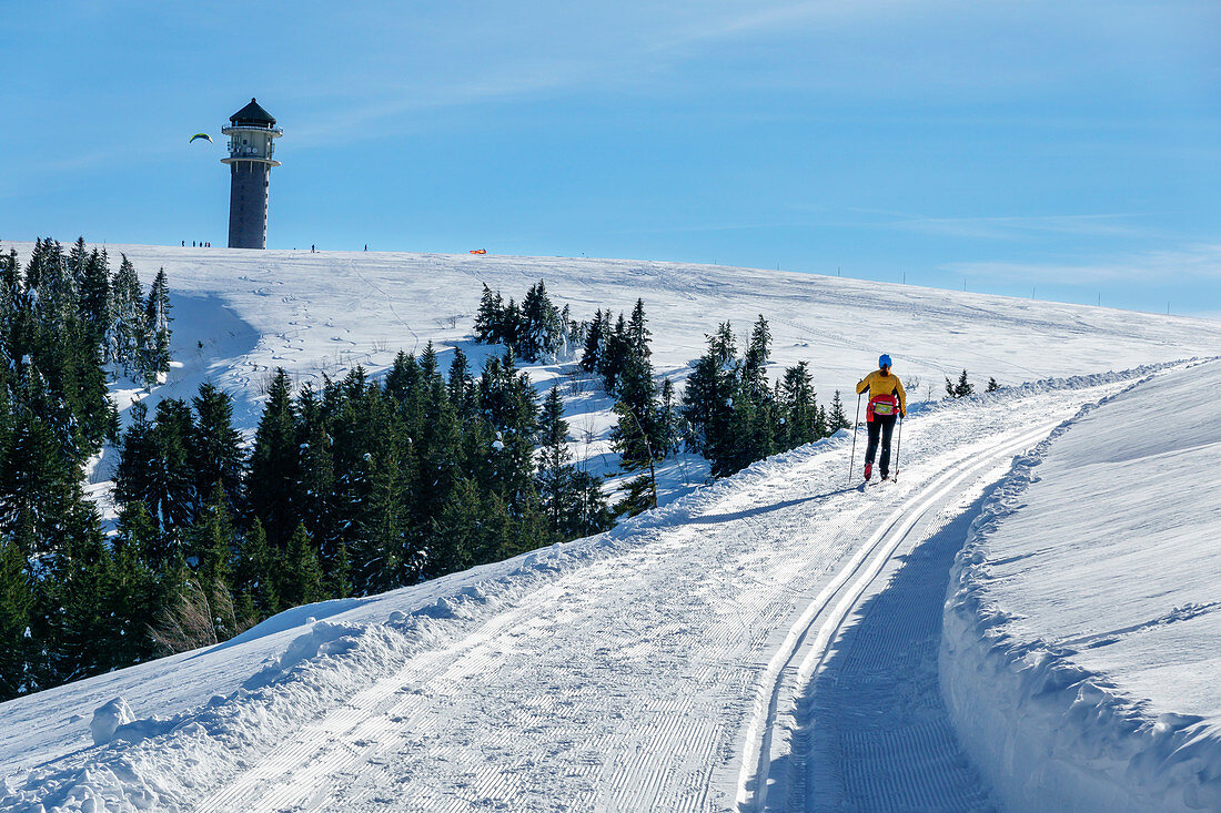 Frau beim Langlaufen läuft auf Feldberg zu, Feldberg, Skifernwanderweg Schonach-Belchen, Schwarzwald, Baden-Württemberg, Deutschland